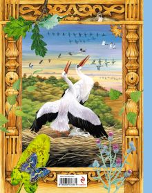 Обложка сзади Большая птичья книга: сказки <не указано>