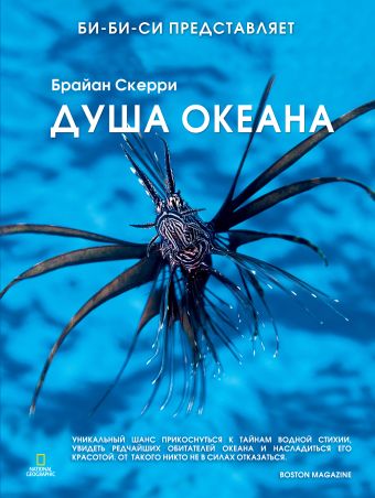 Душа океана Душа океана