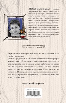 Обложка сзади Испытание медными трубами Мария Метлицкая