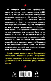 Обложка сзади Штрафники Сталинграда. «За Волгой для нас земли нет!» Владимир Першанин