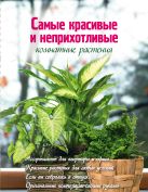 Самые красивые и неприхотливые комнатные растения (Вырубка. Цветы в саду и на окне) Самые красивые и неприхотливые комнатные растения (Вырубка. Цветы в саду и на окне)