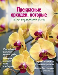 Обложка Прекрасные орхидеи, которые легко вырастить дома 