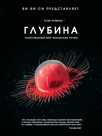 Глубина. Таинственный мир океанских пучин Глубина. Таинственный мир океанских пучин Нувиан К.