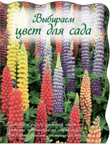 Ландшафтный дизайн на участке: стиль, цвет, тенденции