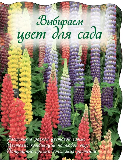 Обложка Ландшафтный дизайн на участке: стиль, цвет, тенденции 