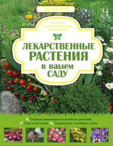 Лекарственные растения в вашем саду. Большая иллюстрированная энциклопедия обложка книги Лекарственные растения в вашем саду. Большая иллюстрированная энциклопедия обложка книги