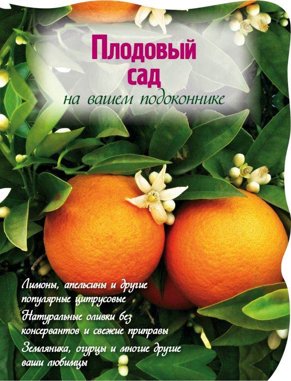 Плодовый сад на вашем подоконнике Плодовый сад на вашем подоконнике