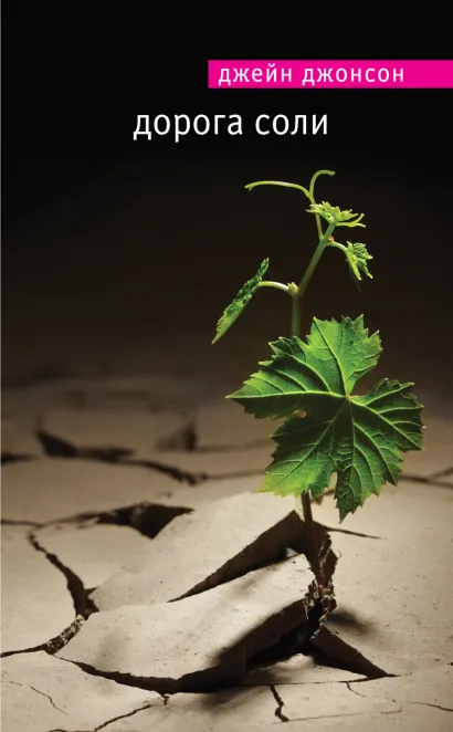 Обложка Дорога соли Джейн Джонсон