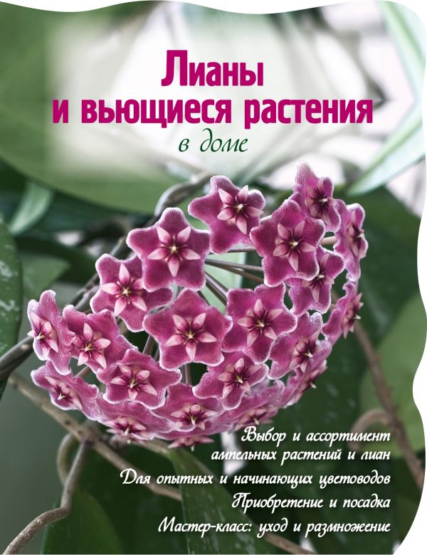 Лианы и вьющиеся растения в доме (Вырубка. Цветы в саду и на окне) Лианы и вьющиеся растения в доме (Вырубка. Цветы в саду и на окне)