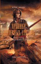 Хроники железных эльфов. Книга 2. Свет пылающих теней Хроники железных эльфов. Книга 2. Свет пылающих теней