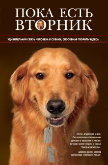 Обложка Пока есть Вторник. Удивительная связь человека и собаки, способная творить чудеса Луис Карлос Монталван
