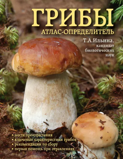 Обложка Грибы. Атлас-определитель Ильина Т.А.
