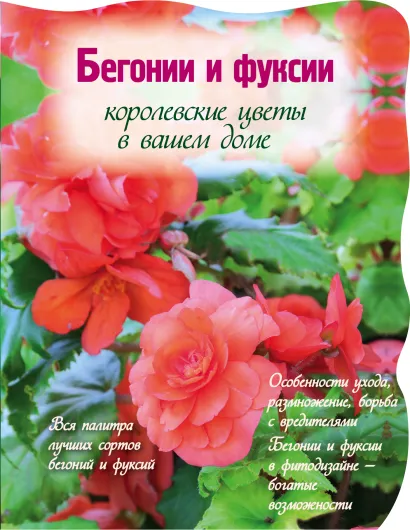 Обложка Бегонии и фуксии. Королевские цветы в вашем доме 