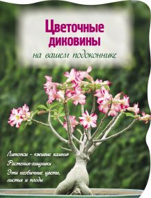Волкова Е.А. - Цветочные диковины на вашем подоконнике (Вырубка. Цветы в саду и на окне (обложка)) обложка книги Волкова Е.А. - Цветочные диковины на вашем подоконнике (Вырубка. Цветы в саду и на окне (обложка)) обложка книги