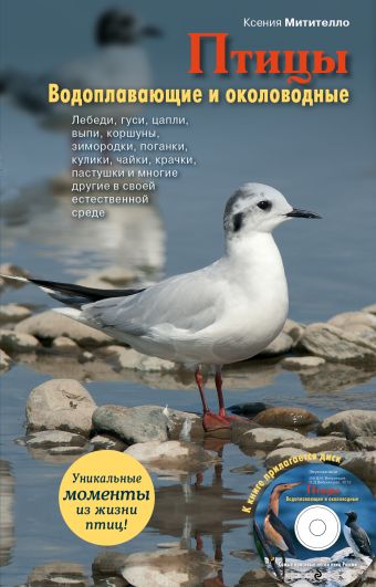 Птицы. Водоплавающие и околоводные (+CD) Птицы. Водоплавающие и околоводные (+CD) Митителло К.Б.