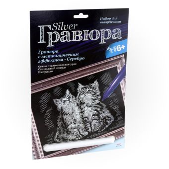 Котята Котята
