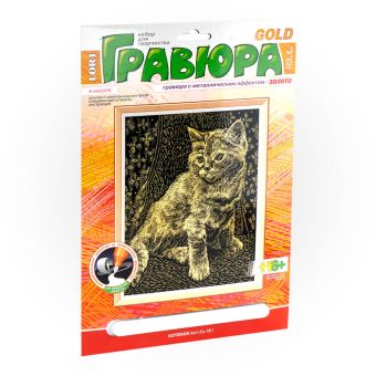 Котенок Котенок