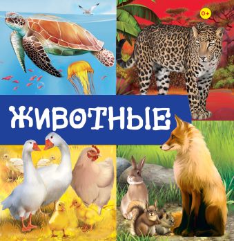 Животные Животные