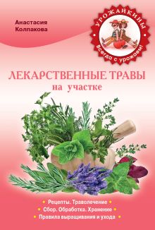 Лекарственные травы на вашем участке