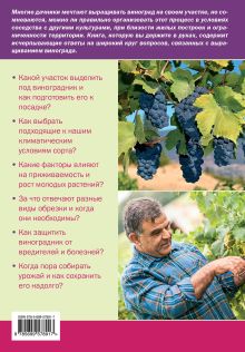 Обложка сзади Ваш домашний виноградник Анастасия Колпакова, Татьяна Плотникова
