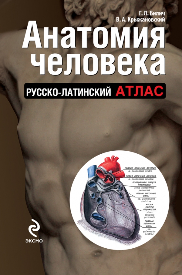 Анатомия человека: русско-латинский атлас Анатомия человека: русско-латинский атлас Билич Г.Л., Крыжановский В.А.
