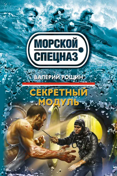 Обложка Секретный модуль Валерий Рощин