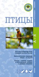 Птицы. Краткий карманный определитель Птицы. Краткий карманный определитель
