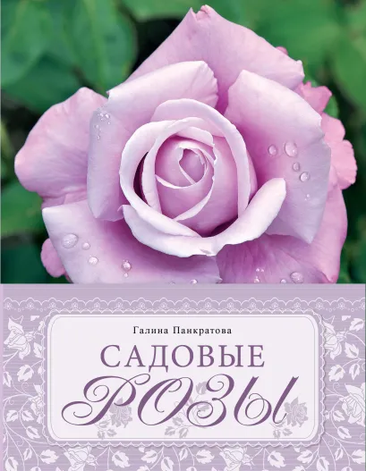 Обложка Садовые розы. Большая энциклопедия [1 - полусупер] Галина Панкратова