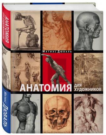 Анатомия для художников Анатомия для художников Дюваль М.