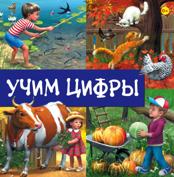 Учим цифры Учим цифры