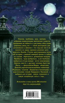 Обложка сзади Где живет колдун Алексей Олейников