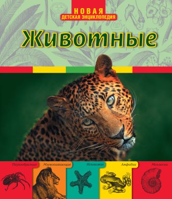Животные Животные Травина И.В.