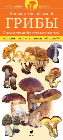 Грибы. Определитель грибов русских лесов и полей