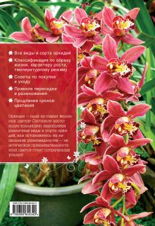 Обложка сзади Самые красивые орхидеи (Все о вашем саде (обложка)) Ирина Зайцева