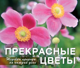 Прекрасные цветы. Шедевры природы на каждый день Прекрасные цветы. Шедевры природы на каждый день