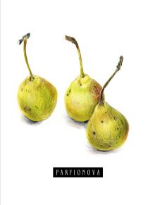 Блокнот для записей «Груши»