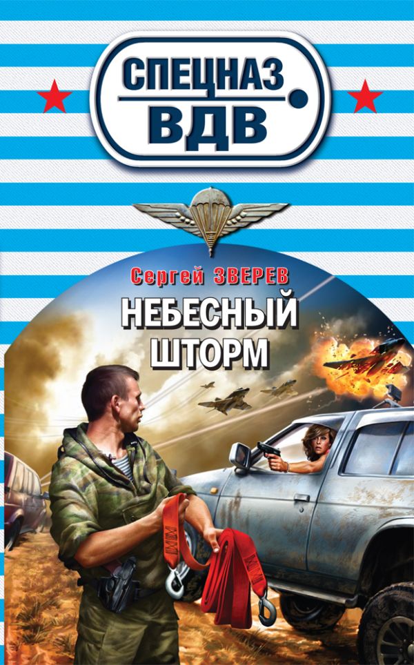 Небесный шторм Небесный шторм Зверев С.И.