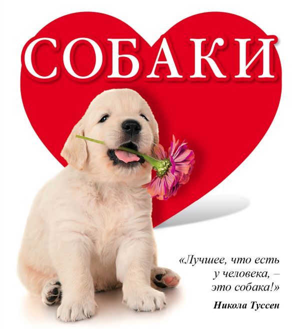 Собаки Собаки Гюнтер Е.Е.