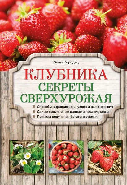 Обложка Клубника. Секреты сверхурожая Городец Ольга