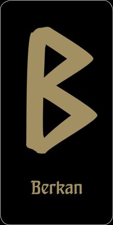 Обложка Руна “Berkan - защита и стабильность семейного очага” (черная) 