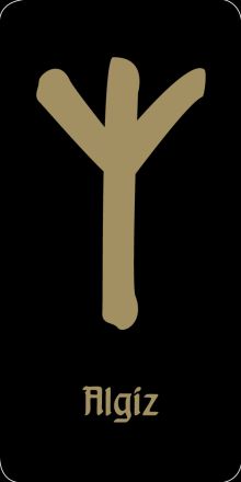 Руна “Algis - защита от зла” (черная)