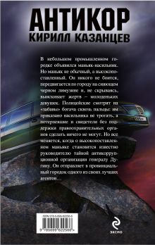 Обложка сзади Неприкасаемый чин Кирилл Казанцев