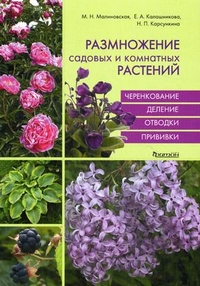 Малиновская/Калашникова/Карсункина - Размножение садовых и комнатных растений обложка книги Малиновская/Калашникова/Карсункина - Размножение садовых и комнатных растений обложка книги