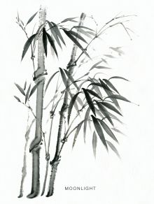 Блокнот для записей "Бамбук"