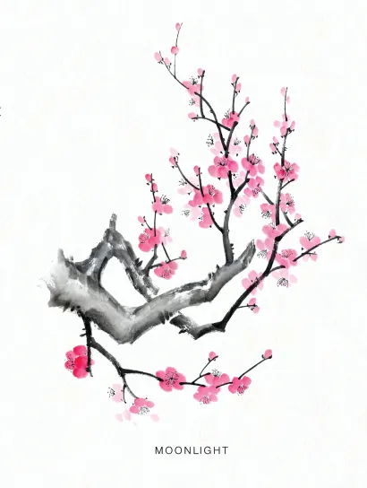 Обложка Блокнот для записей 