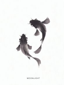 Блокнот для записей "Рыбы"