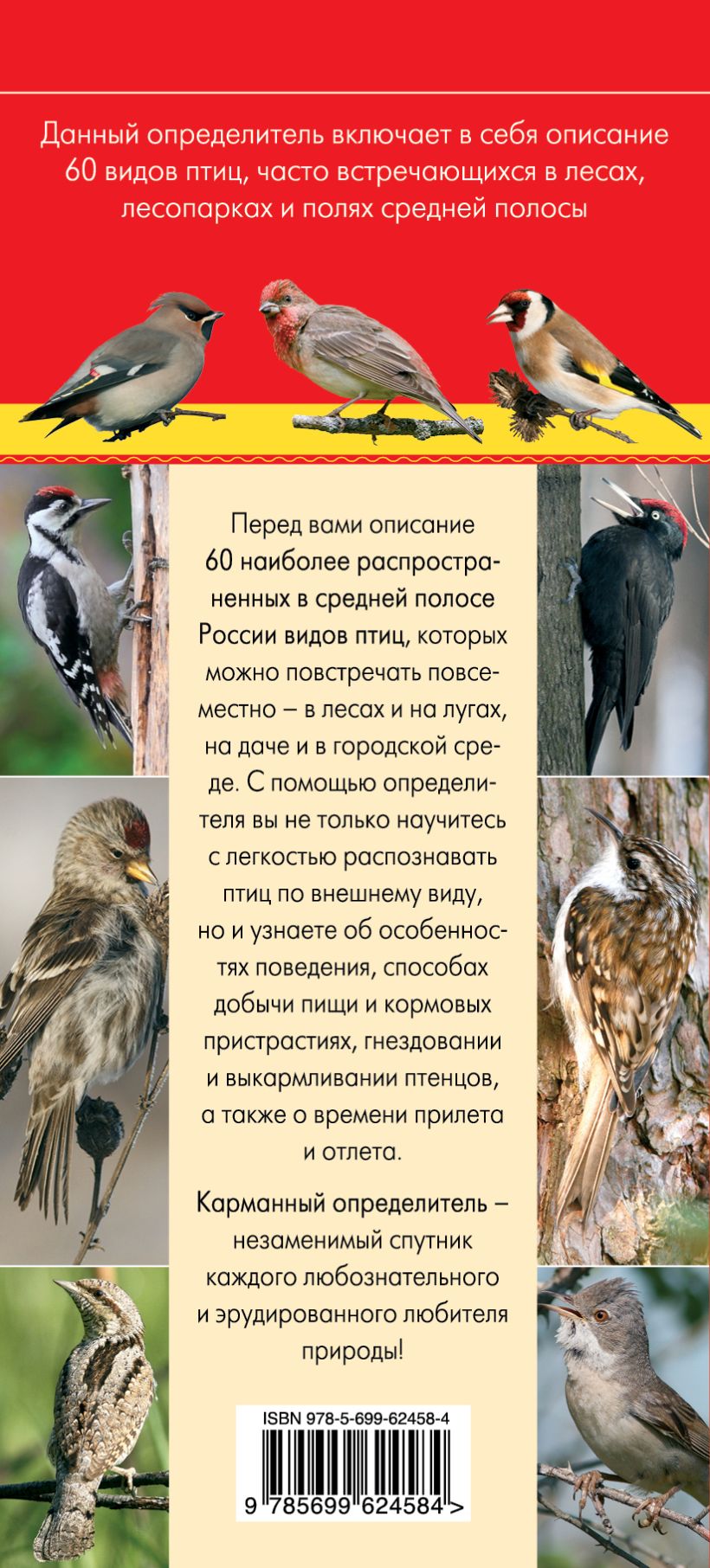 Книга Птицы Определитель (удалить) Ксения Митителло - купить, читать онлайн  отзывы и рецензии | ISBN 978-5-699-62458-4 | Эксмо