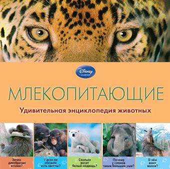 Млекопитающие Млекопитающие