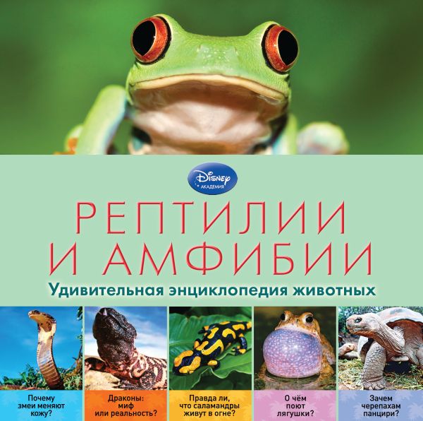 Рептилии и амфибии Рептилии и амфибии