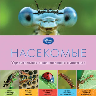Обложка Насекомые 
